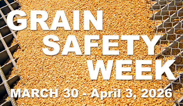 A pile of light brown grain is being sifted through a mesh.