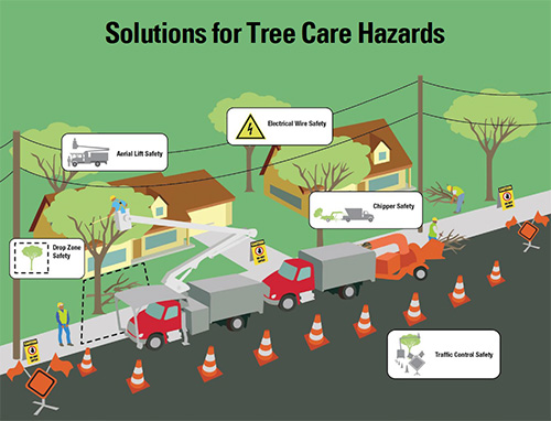 An infographic depicting solutions to tree care hazards.